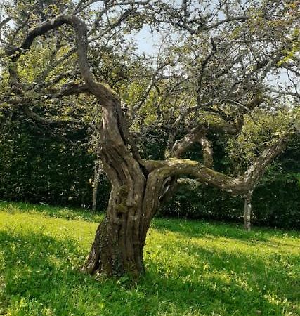 Vila Maison Chaleureuse Et Ecologique Coyriere Exteriér fotografie