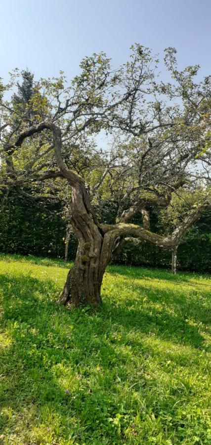 Vila Maison Chaleureuse Et Ecologique Coyriere Exteriér fotografie